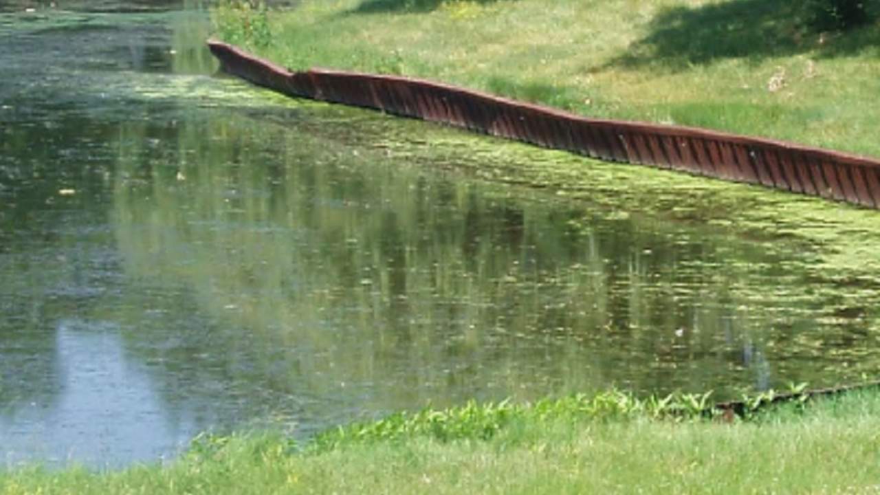 Park Board approves Sugar Creek Restoration Project Elmhurst Park